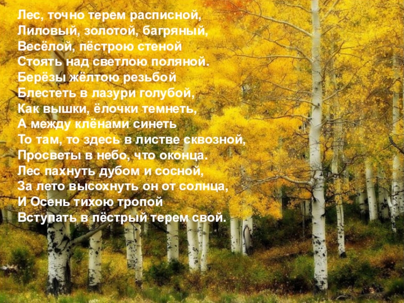 Изменение глаголов в настоящем времени по лицам и числам Лес, точно терем расписной,Лиловый, золотой, багряный,Весёлой, пёстрою стенойСтоять над светлою поляной.Берёзы Лес, точно терем расписной,Лиловый, золотой, багряный,Весёлой, пёстрою стенойСтоять над светлою поляной.Берёзы жёлтою резьбойБлестеть в лазури голубой,Как вышки,