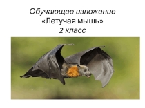 Презентация к уроку по развитию речи к изложению Летучая мышь(2 кл)