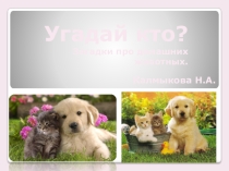 Презентация по теме ознакомление с домашними животными в загадках