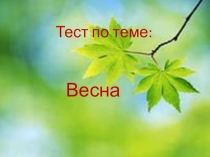 Презентация по окружающему миру Тест по теме: Цветы, насекомые весной (2 класс)