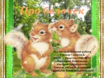 Презентация Про белочек (1 класс)