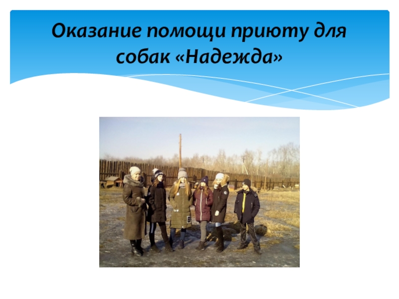 Волонтерский отряд МБОУ СОШ№10 Мы вместе Оказание помощи приюту для собак «Надежда» Оказание помощи приюту для собак «Надежда»