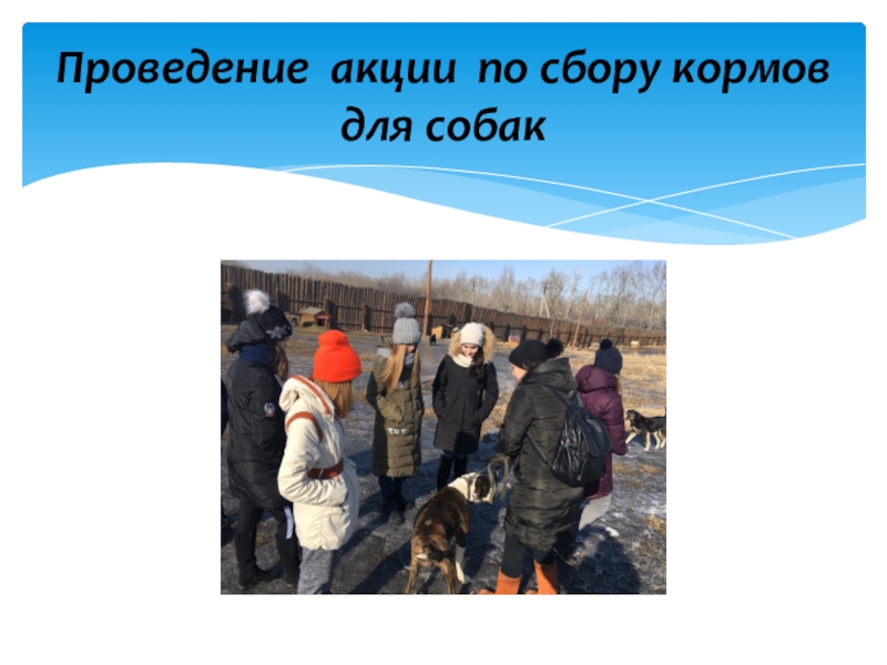 Волонтерский отряд МБОУ СОШ№10 Мы вместе Проведение акции по сбору кормов для собак Проведение акции по сбору кормов для собак