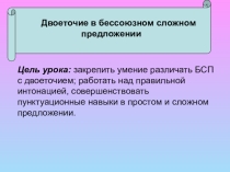Двоеточие в бессоюзном сложном предложении