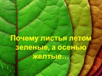 Презентация к научно- практической конференции