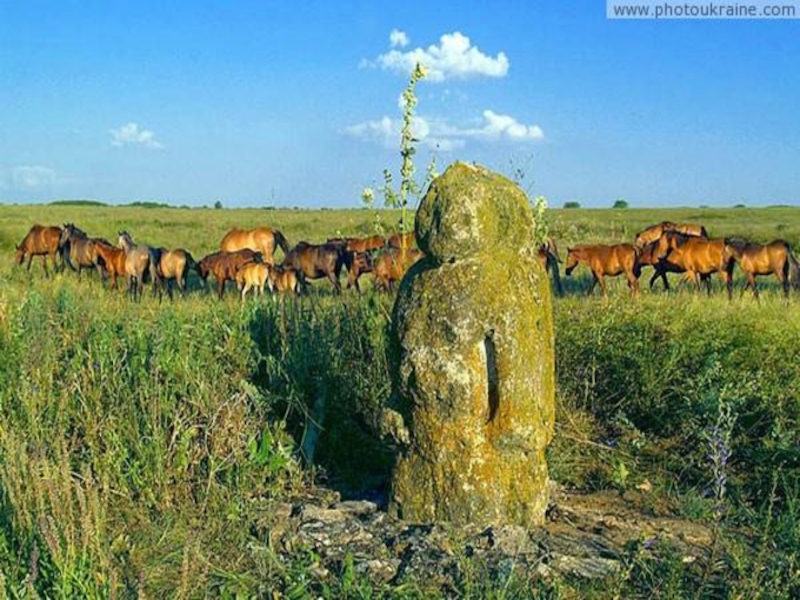 Карта хомутовская степь