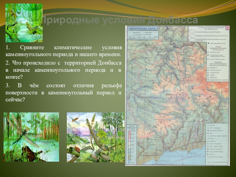 Презентация к интегрированному историко-природоведческому уроку в 5 классе Как это было...Донбасс в древности Природные условия Донбасса1. Сравните климатические условия каменноугольного периода и нашего времени.2. Природные условия Донбасса1. Сравните климатические условия каменноугольного периода и нашего времени.2. Что происходило с территорией Донбасса в