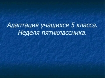 Адаптация учащихся 5-го класса