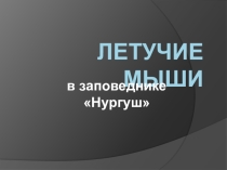 Презентация по окружающему миру на тему Природа родного края