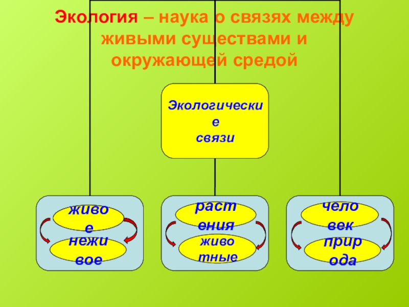 Экологические связи. Примеры экологических связей. Схема экологической связи. Связи между живыми существами и окружающей их средой. Примеры экологических связей 3 класс.