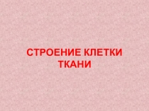 Строение клетки. Ткани