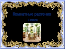 Презентация по технологии на тему Комнатные растения