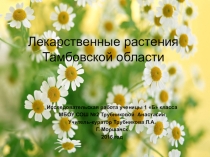 Презентация Лекарственные растения Тамбовской области