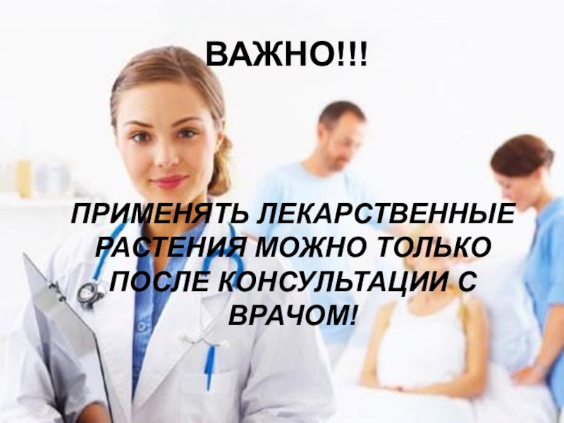 После консультации. Можно только после консультации. Любое лекарственное растение после консультации врача.