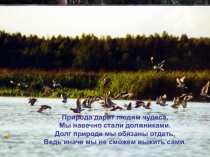 Презентация к уроку по окружающему миру