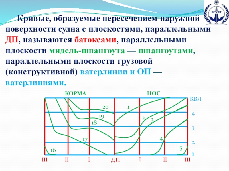 Презентация по предмету теория и устройство судна на тему Теоретический чертеж (для специальностей водного транспорта и дополнительного образования) Кривые, образуемые пересечением наружной поверхности судна с плоскостями, параллельными ДП, называются Кривые, образуемые пересечением наружной поверхности судна с плоскостями, параллельными ДП, называются батоксами, параллельными плоскости мидель-шпангоута — шпангоутами,