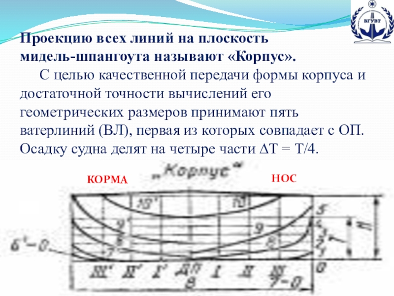 Презентация по предмету теория и устройство судна на тему Теоретический чертеж (для специальностей водного транспорта и дополнительного образования) Проекцию всех линий на плоскость мидель-шпангоута называют «Корпус». С целью качественной Проекцию всех линий на плоскость мидель-шпангоута называют «Корпус». С целью качественной передачи формы корпуса и