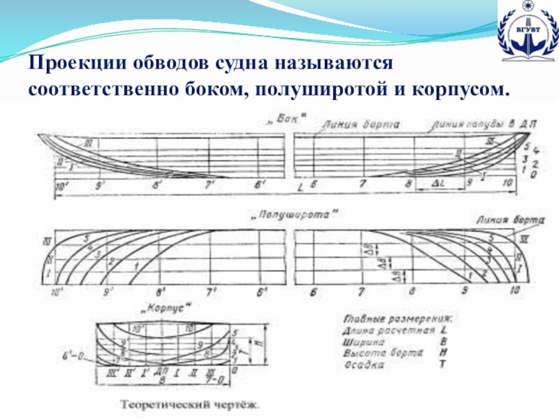 Презентация по предмету теория и устройство судна на тему Теоретический чертеж (для специальностей водного транспорта и дополнительного образования) Проекции обводов судна называются соответственно боком, полуширотой и корпусом. Проекции обводов судна называются соответственно боком, полуширотой и корпусом.