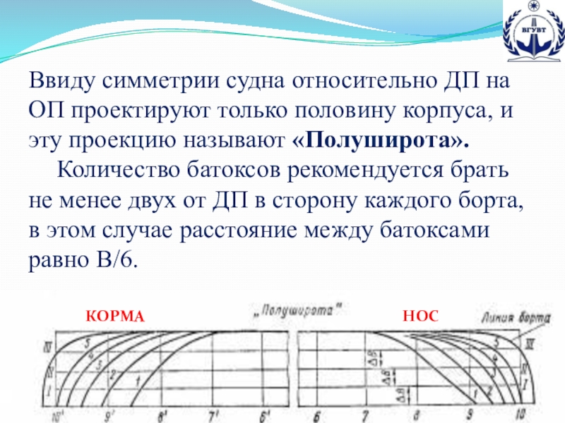 Презентация по предмету теория и устройство судна на тему Теоретический чертеж (для специальностей водного транспорта и дополнительного образования) Ввиду симметрии судна относительно ДП на ОП проектируют только половину корпуса, Ввиду симметрии судна относительно ДП на ОП проектируют только половину корпуса, и эту проекцию называют «Полуширота».