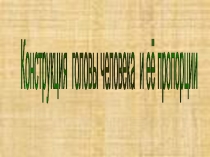 Презентация по изобразительному искусству на тему Конструкция головы и ее пропорции (6 класс)