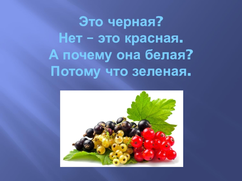 Почему бела. Это черная нет красная а почему она белая потому что зеленая. Смородина красная потому что зеленая. Почему черная смородина красная потому что зеленая. Смородина это чёрная нет красная а почему белая потому что зелёная.