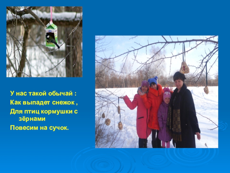 Презентация У нас такой обычай :Как выпадет снежок ,Для птиц кормушки с зёрнамиПовесим на сучок. У нас такой обычай :Как выпадет снежок ,Для птиц кормушки с зёрнамиПовесим на сучок.