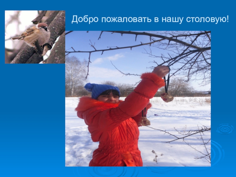 Презентация Добро пожаловать в нашу столовую! Добро пожаловать в нашу столовую!