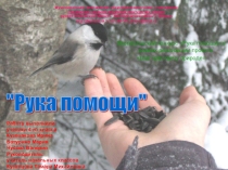 Презентация