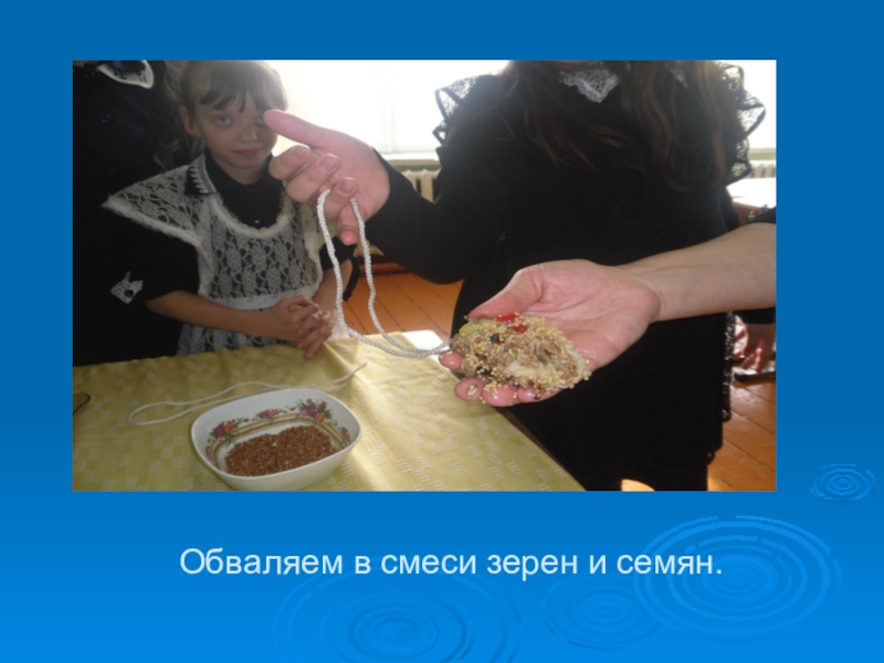Презентация Обваляем в смеси зерен и семян. Обваляем в смеси зерен и семян.