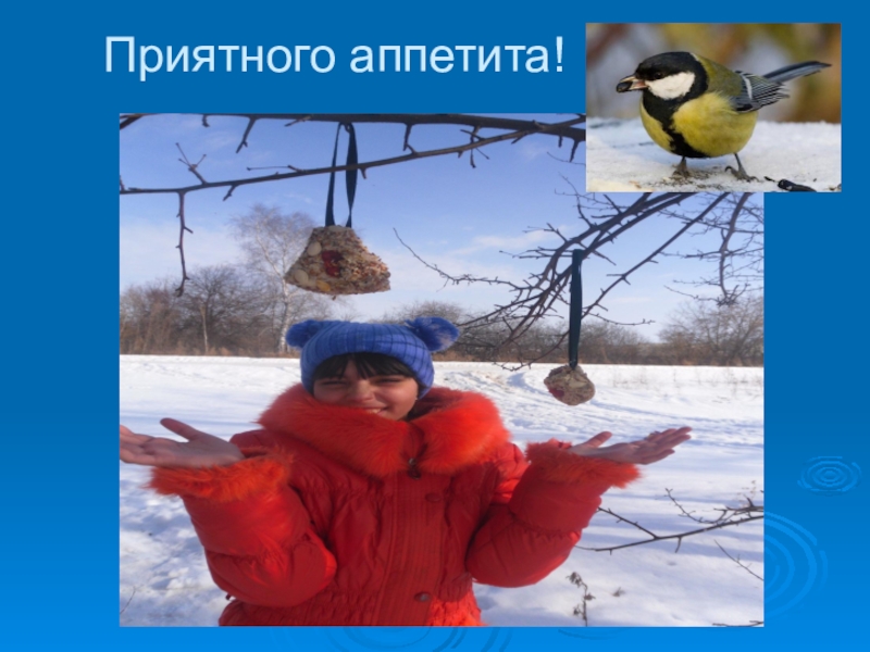 Презентация Приятного аппетита! Приятного аппетита!