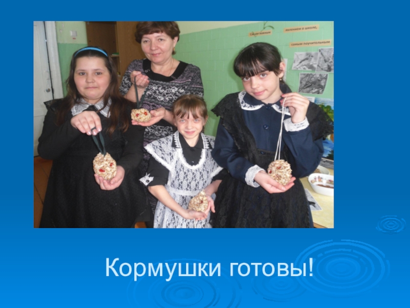 Презентация Кормушки готовы! Кормушки готовы!