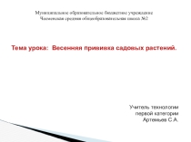 Презентация по технологии Весенняя прививка плодовых деревьев