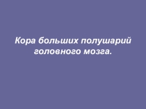 Презентация по биологии на тему Кора больших полушарий