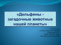 Дельфины- загадочные животные нашей планеты