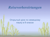 Презентация к уроку по теме: Reisevorbereitungen