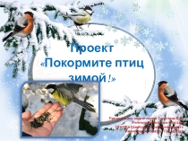 Проект Покормите птиц зимой