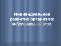 Презентация по биологии Индивидуальное развитие: эмбриональный период