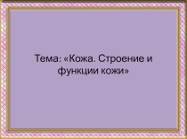 Презентация по биологии  Кожа. Строение и функции кожи