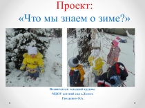 Презентация младшая группа Что мы знаем о зиме