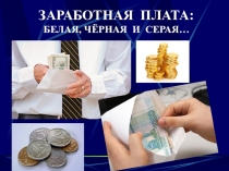 Заработная плата:белая, чёрная и серая