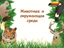 Презентация урока Животные и окружающая среда