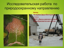 Учебно-исследовательская работа проект Тема:  Человеку предшествуют леса, а сопровождают его пус