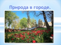 Презентация по окружающему миру на тему Природа в городе