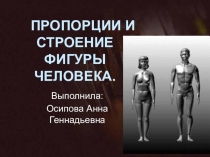 Презентация Пропорции и строение фигуры человека