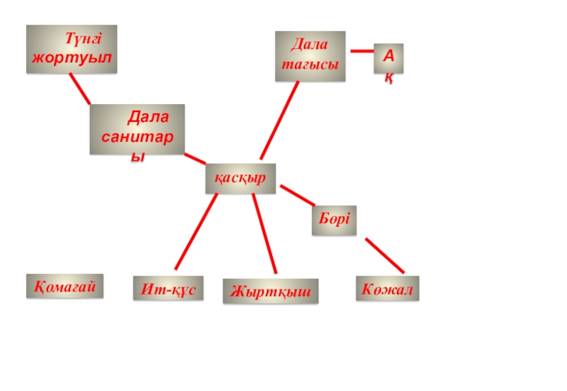 Презентация по казахской литературе на тему Көксерек қасқырБөріКөжал Түнгі жортуыл Дала санитарыДала тағысыАқҚомағайИт-құсЖыртқыш қасқырБөріКөжал Түнгі жортуыл Дала санитарыДала тағысыАқҚомағайИт-құсЖыртқыш