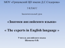 Презентация по английскому языку на тему  The experts in English language  (3 класс)