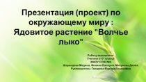 Презентация по окружающему миру Растения прекрасные и опасные. Волчье лыко