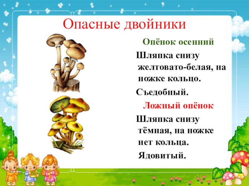 Опасный двойник опенка осеннего