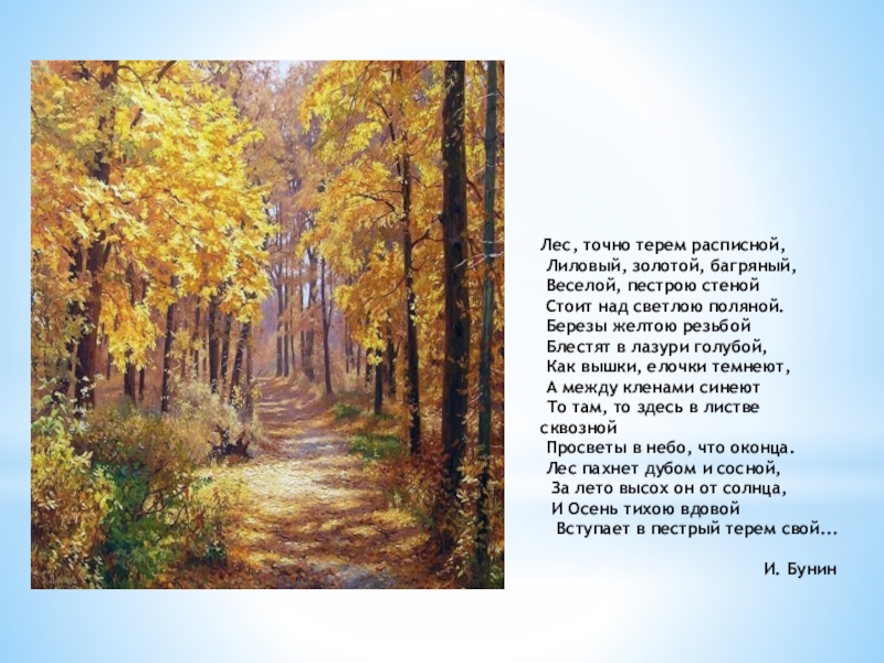 И. И. Шишкин И осень тихою вдовой, вступает в пестрый терем твой.... Лес, точно терем расписной, Лиловый, Лес, точно терем расписной,