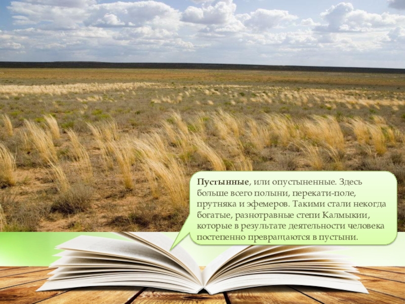 Окружающий мир зона степей. Степи 4 класс окружающий мир. Что такое степь 4 класс. Конспект степи. Степные зоны России 4 класс.